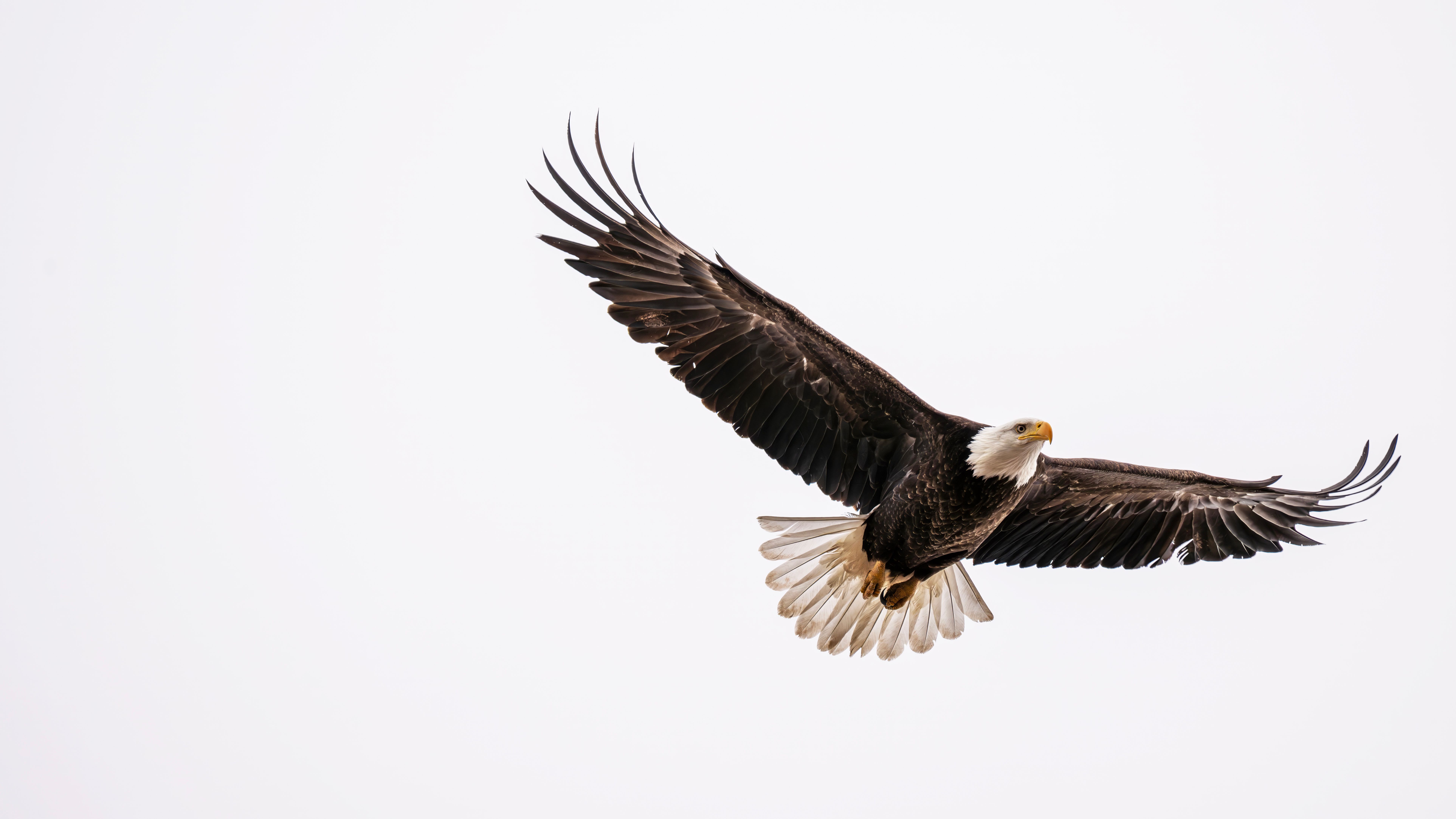 Why American Eagle's Pivot to Performance Marketing Signals a Broader Retail Reckoning